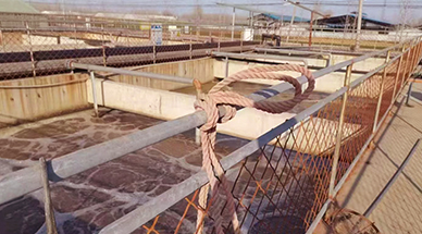 ?雷茨空氣懸浮風機，讓食品廠污水處理節(jié)能30%-50%