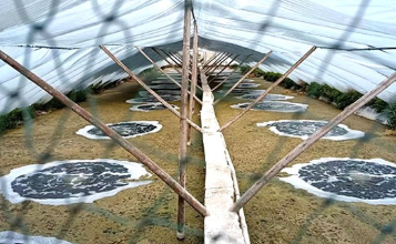 養(yǎng)殖增氧機：輕松應(yīng)對夏季不同情況