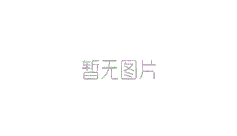 案例展示